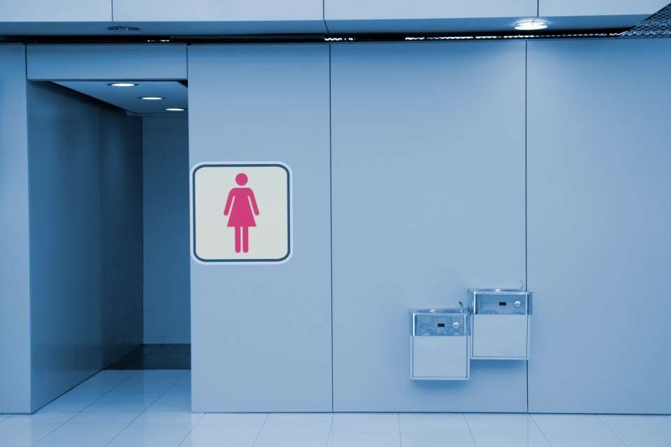 Ministers are stepping in to protect women-only toilets amid the rise in woke gender neutral loos