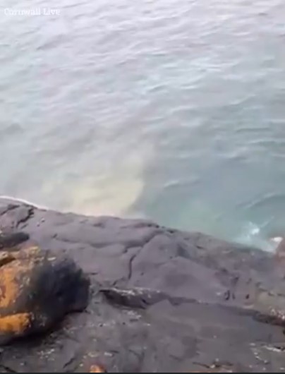 This is the disgusting moment raw sewage was pumped directly into the water