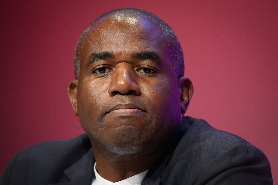 David Lammy has been accused of hypocrisy after flying more than 5,000 miles to attend environmental talks in Brazil