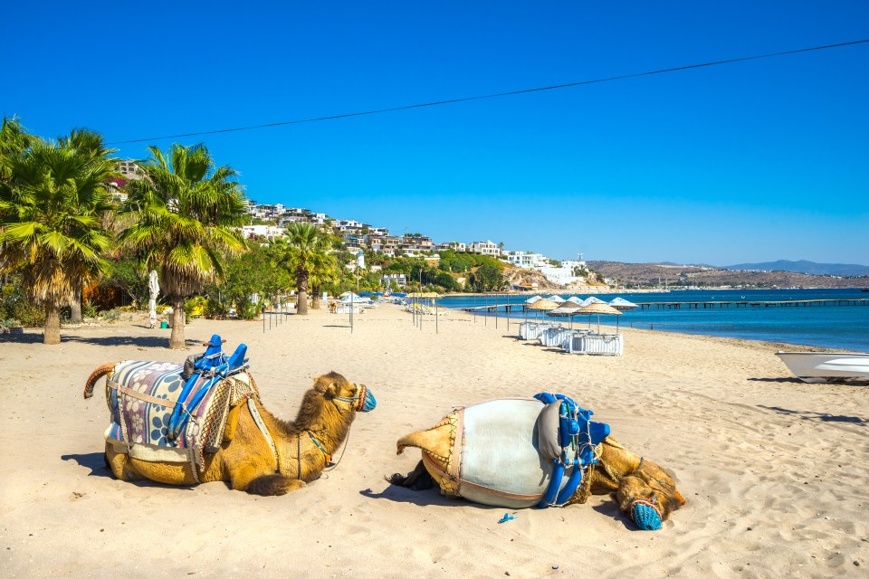 Travel firm On the Beach says bookings are double the pre-pandemic levels in both Turkey and Egypt due to fantastic exchange rates