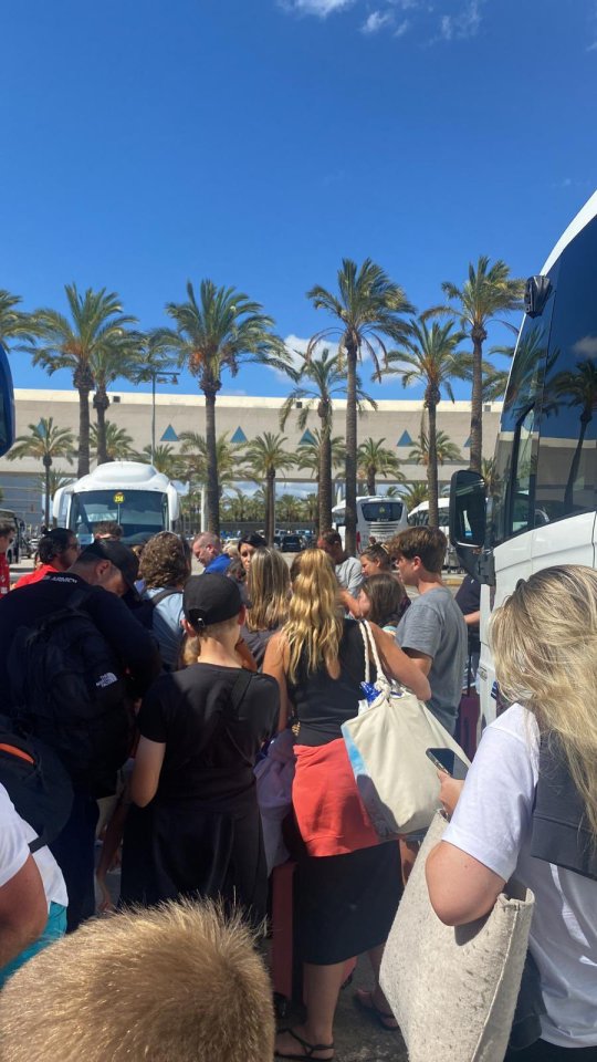 Stranded passengers called Majorca's Palma airport a 'shambles'