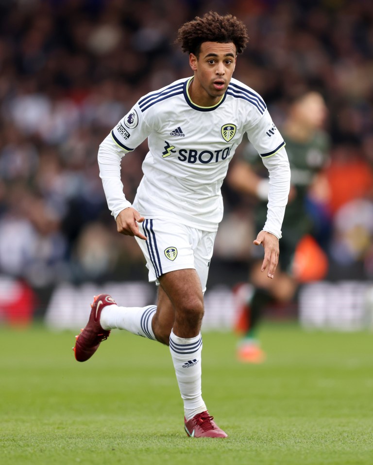 Leeds star Tyler Adams is expected to move to Chelsea soon