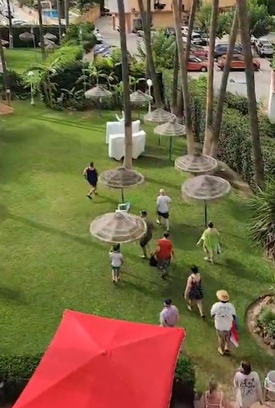 Holidaymakers at the three-star Parasol Garden hotel in Torremolinos, near Málaga, pictured before the mad race for sunbeds