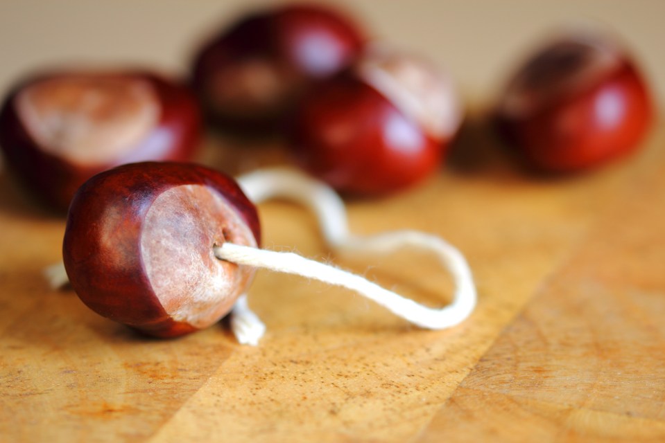 Four savvy ways you can use conkers this autumn - including repelling bugs