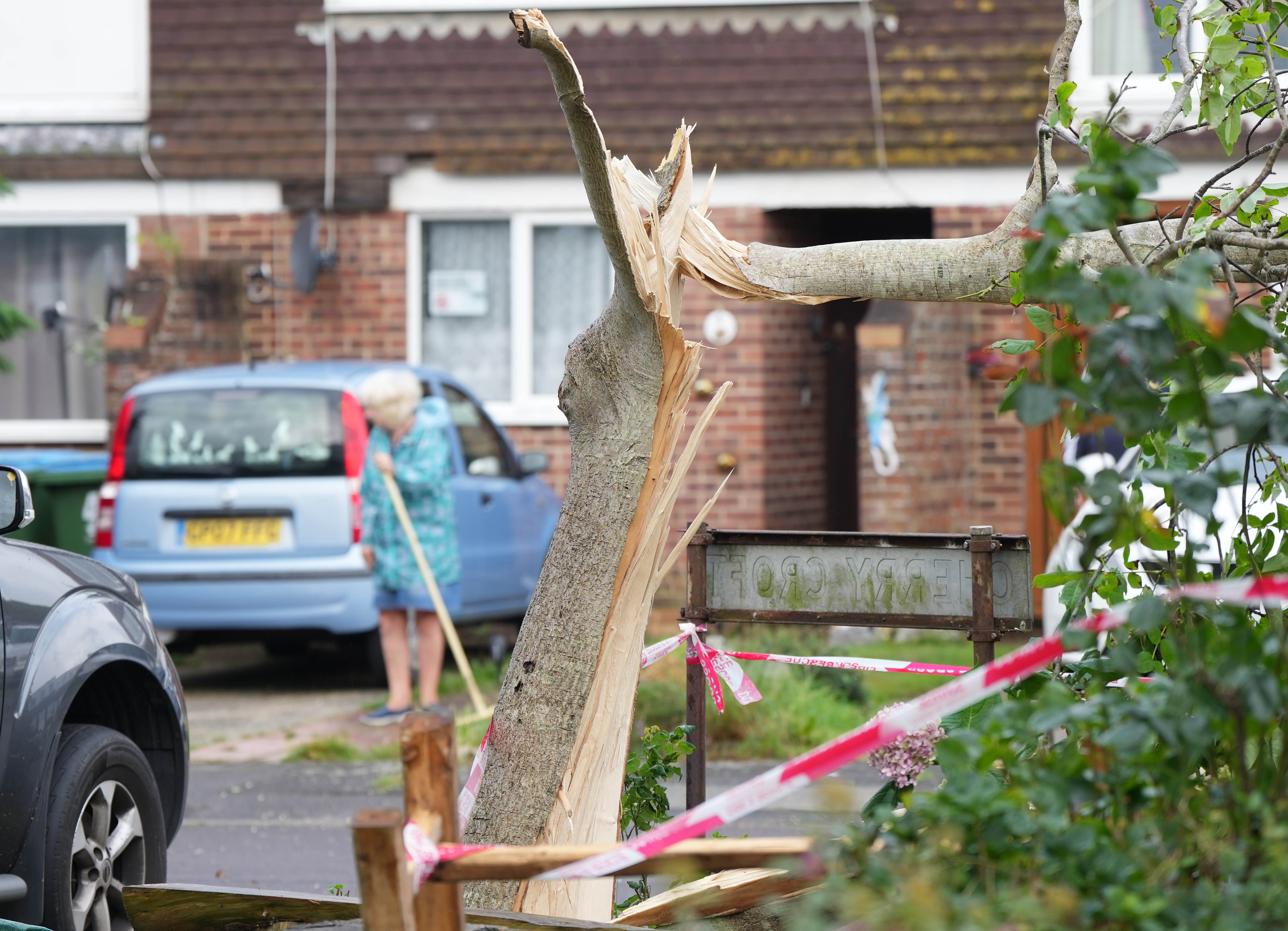 Trees were also brought down on the Sussex street after a 'mini tornado'