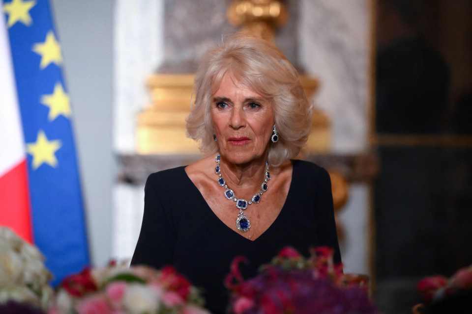 Queen Camilla sat besides Charles ahead of his speech