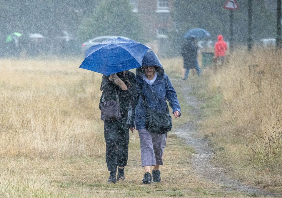 The severe weather warning has been issued for parts of Devon and Somerset