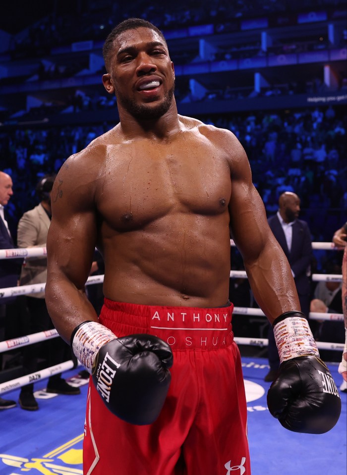 Joshua wants to fight Fury or Deontay Wilder before retiring