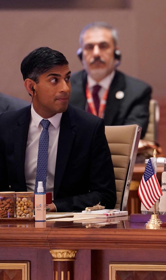 Rishi Sunak raised concerns during the G20 Leaders’ Summit in New Delhi in India