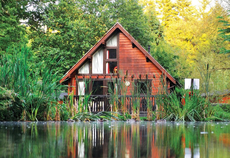 Our Pondside No11 log cabin featured a veranda overlooking lush scenes