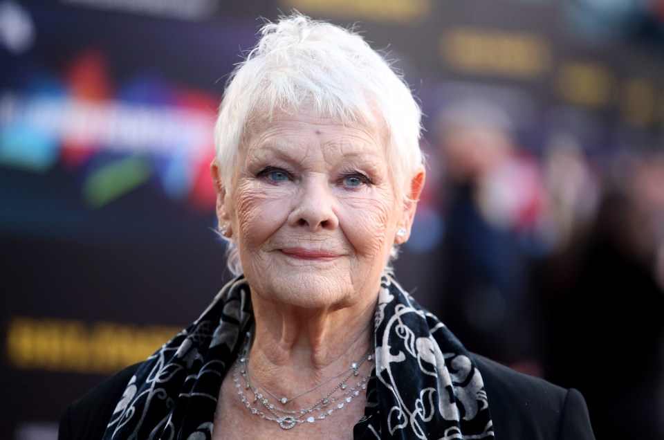 Dame Judi has owned a number of racehorses over the years