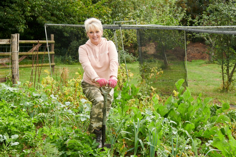 Cheryl Baker has gone from selling 50million records worldwide to working for the minimum wage as a gardener