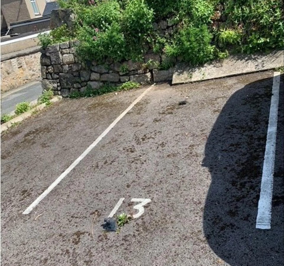 A moderately sized parking bay in Cornwall has been put up for sale at £49,000