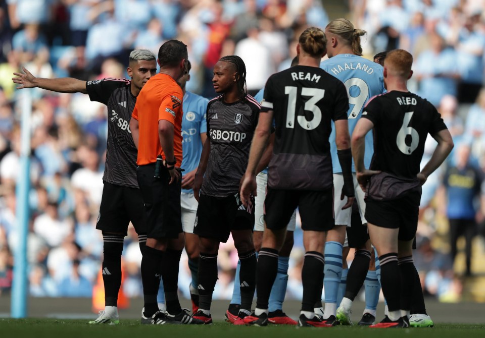 Fulham had complaints after their loss to Manchester City