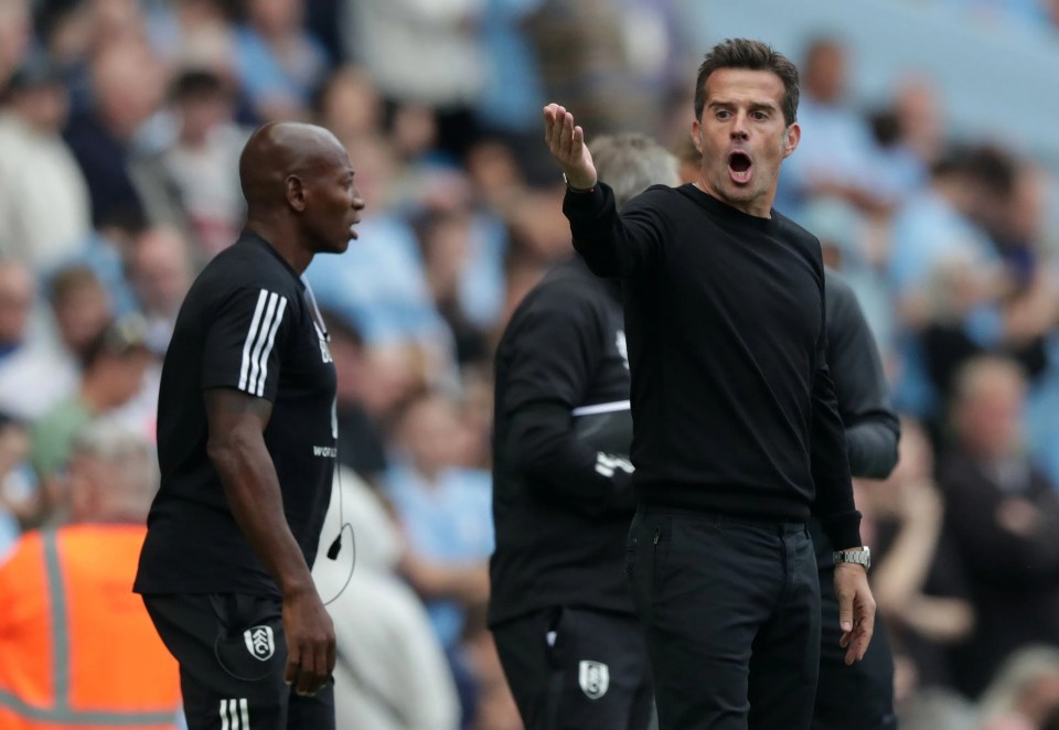 Fulham complained after Nathan Ake’s controversial goal stood