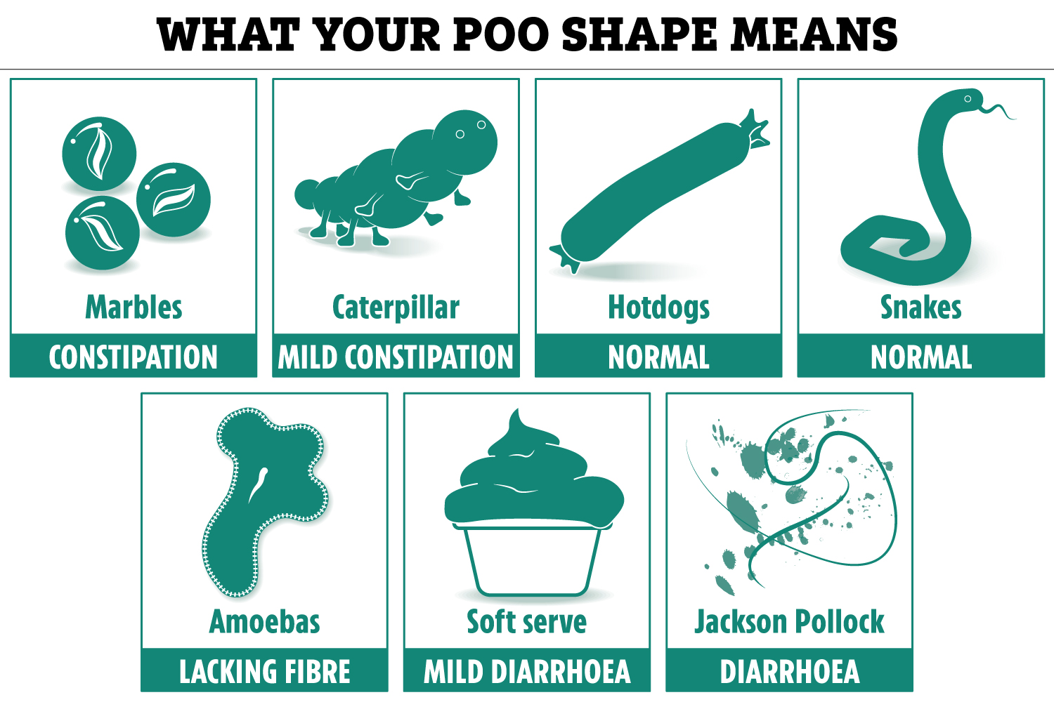 Though everyone’s number twos look different, they usually fall into one of seven categories outlined by the Bristol Stool Chart (see above)