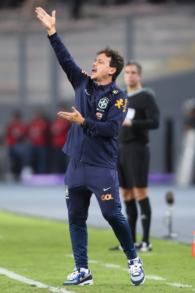 epa10857853 Fernando Diniz, head coach of Brazil, reacts during a 2026 FIFA World Cup qualification soccer match between Peru and Brazil at the Nacional Stadium in Lima, Peru, 12 September 2023. EPA/Paolo Aguilar