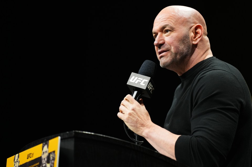 UFC president Dana White publicly entertained having Fury fight in the octagon