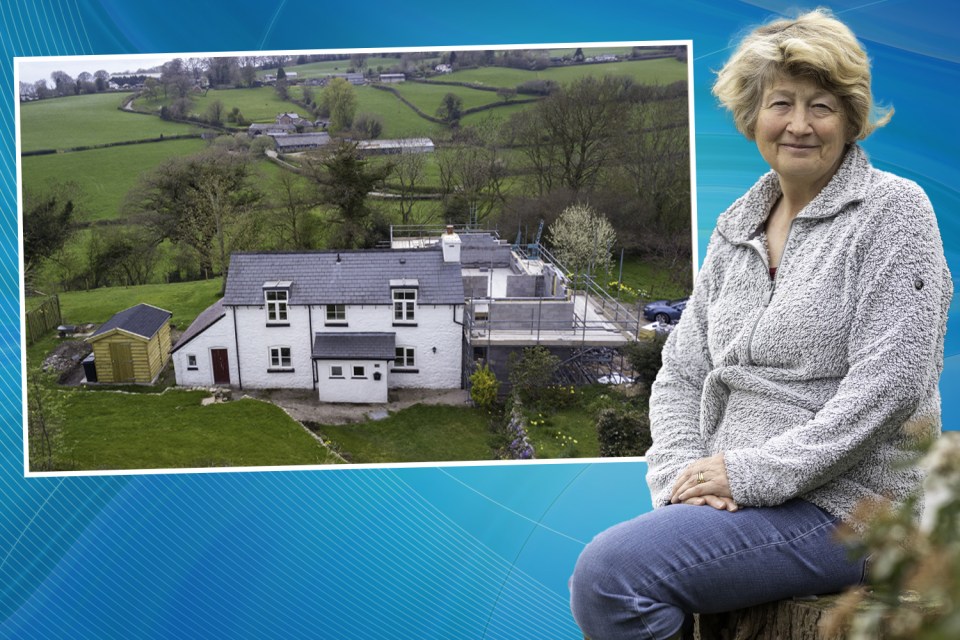 Susan said the extra cash helped make heatpumps more affordable