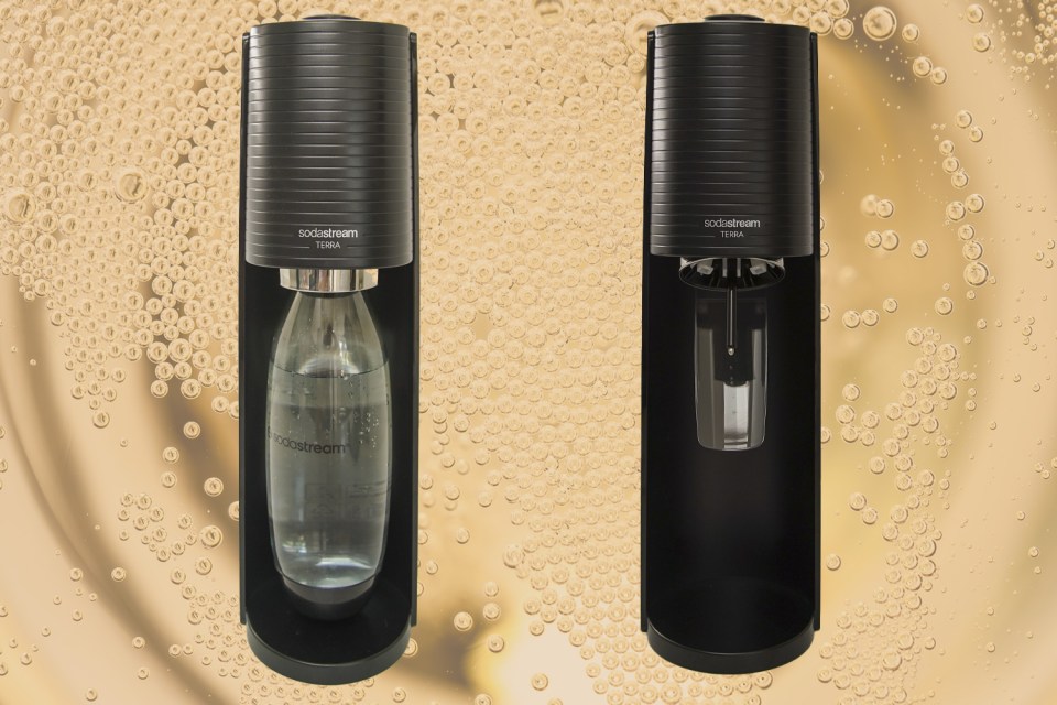 Sodastream's basic model does the job and won't bust budgets