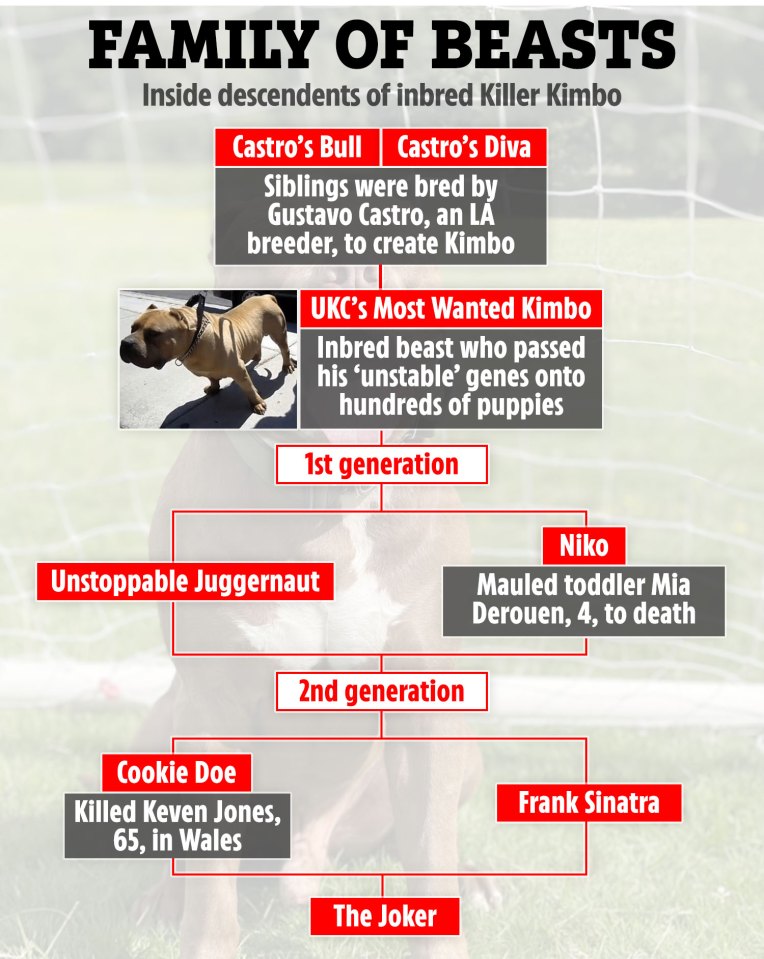 Killer Kimbo's family tree