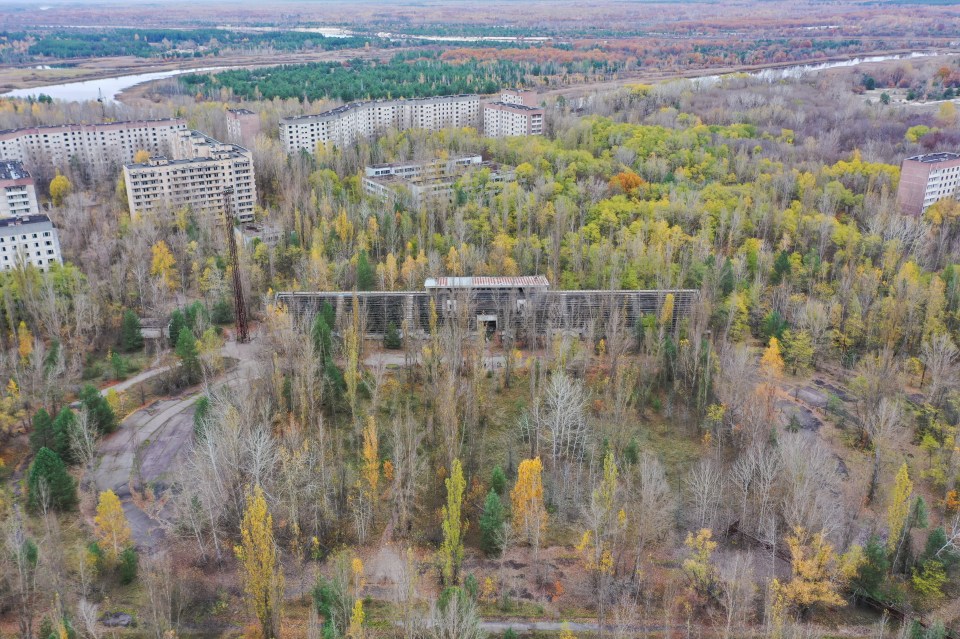 The Avanhard Stadium is now covered in a forest of trees