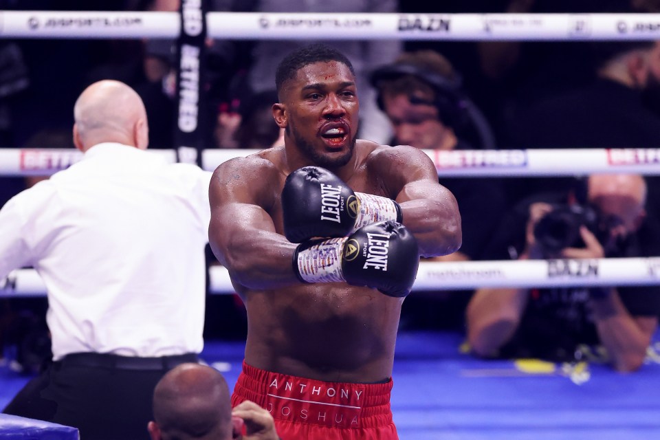 Anthony Joshua is still in talks over a grudge match with Deontay Wilder