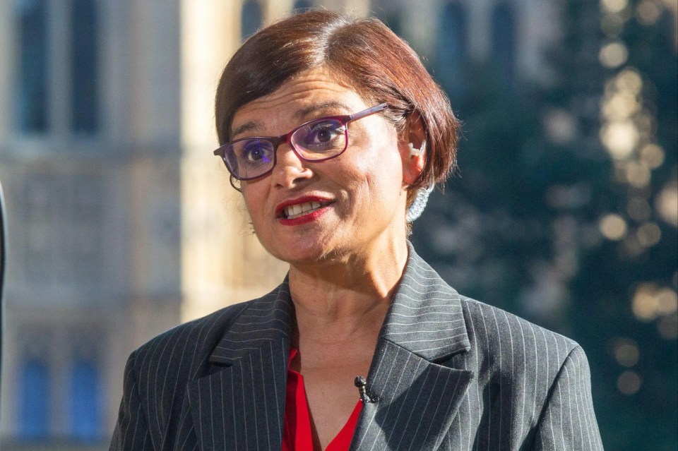 Thangam Debbonaire served as Shadow Culture Secretary