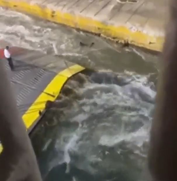 The man's body could be seen floating in the water