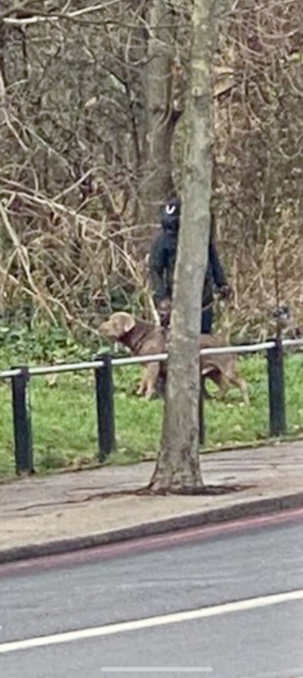 Police launched an 'urgent investigation' into the attack in Mile End