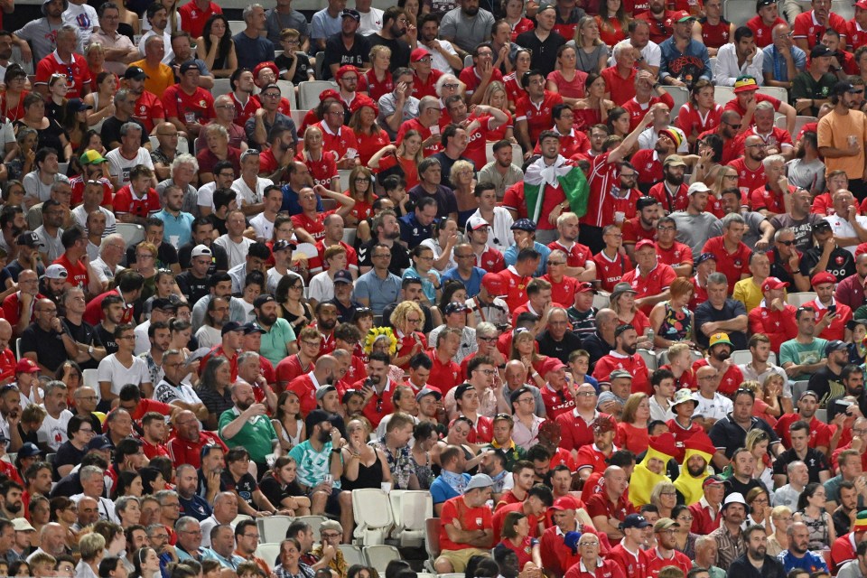 Rugby lovers have been warned of the threat of disease outbreaks at the World Cup in France