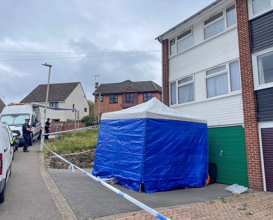 A blue forensic tent is seen outside the home