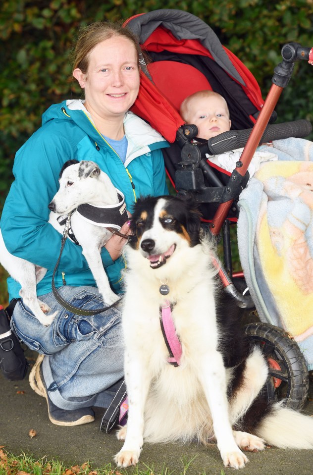 Mum-of-three Emma Carpenter, a dog trainer, says it's important for pooches to socialise