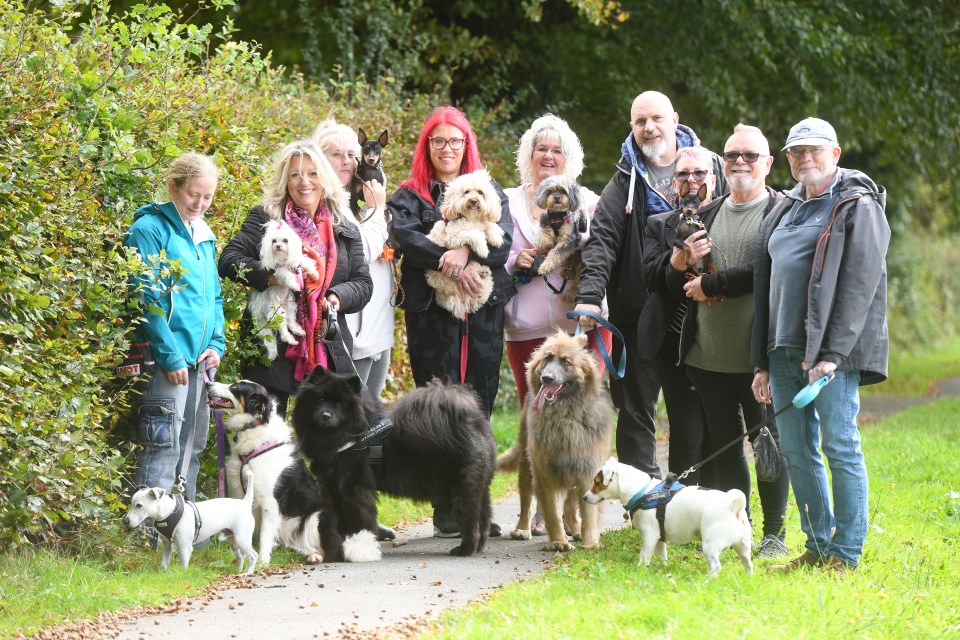 Residents say the nearest area where their dogs can roam free and socialise is an hour's walk away