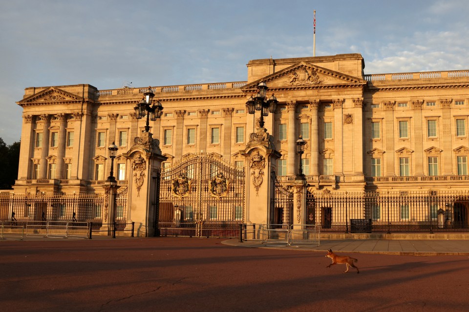 Awad Mustafa is accused of trying to break into Buckingham Palace