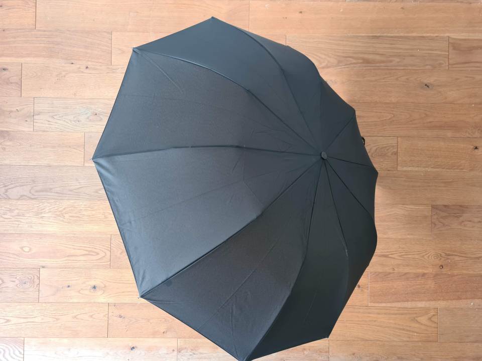 The Fulton Magnum is "stunningly simple", but has all the features you want in a windproof umbrella for just £25