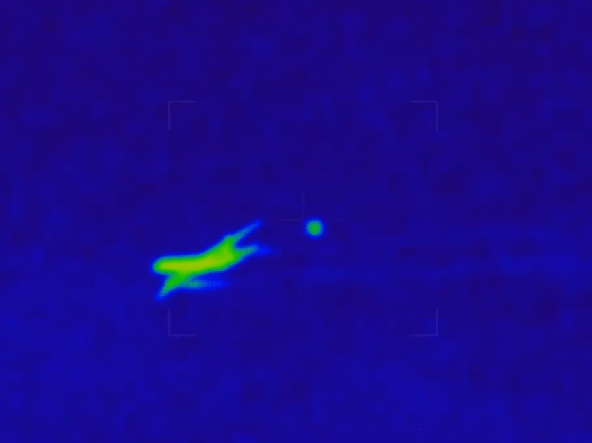 Conspiracy theorists claimed a video showed the jet being abducted by a UFO