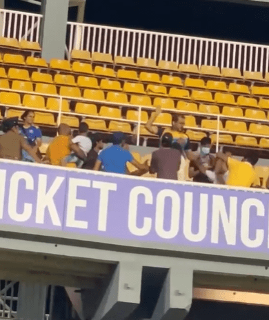 One fan started a brawl by punching another spectator in the stands