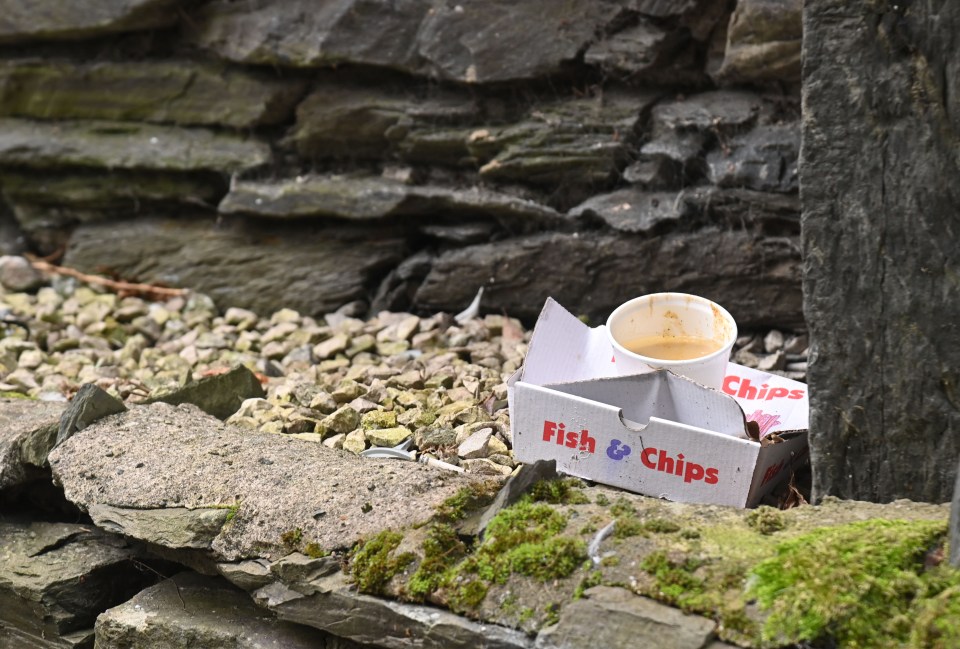 A discarded fish and chips carton in Bowness