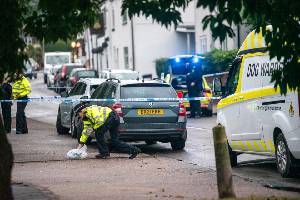 An officer collects evidence closed to a dog warden vehicle