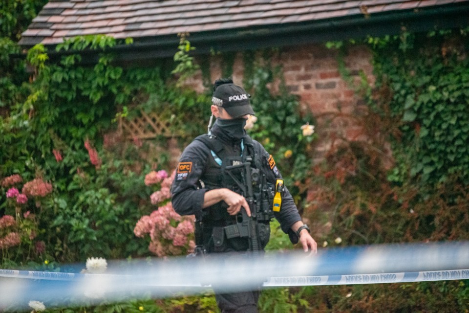 An armed officer pictured at the scene following the dog attack