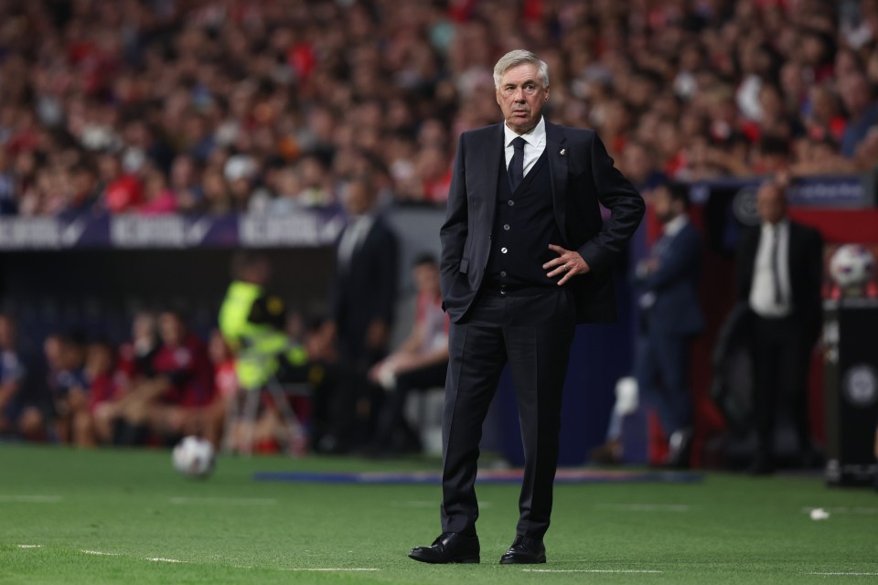 Carlo Ancelotti is set to leave his role as boss at the end of the season when his contract expires