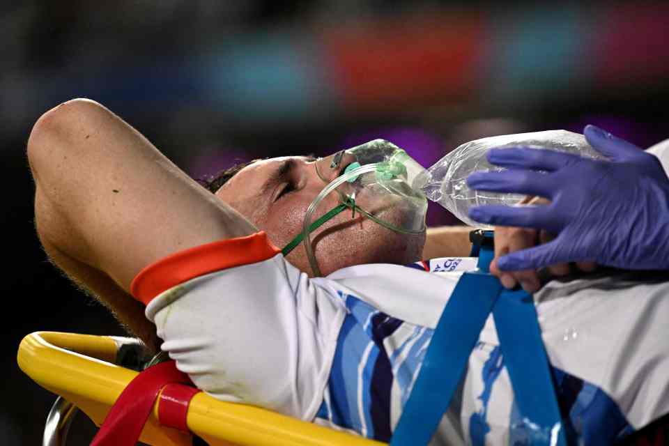 Malan, 24, received oxygen as he left the field in Toulouse