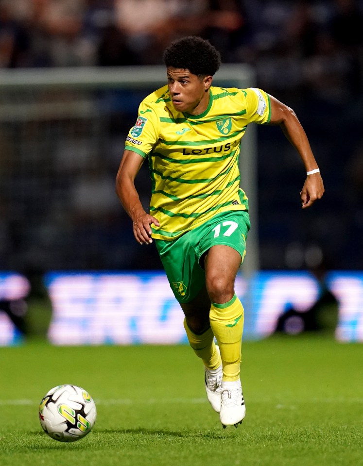 Gabriel Sara of Norwich in action during the Sky Bet Championship match at the New York Stadium, Rotherham Picture by Paul Chesterton/Focus Images Ltd +44 7904 640267 02/09/2023 Commissioned for use in Archant Norfolk titles only. All other titles fees apply.