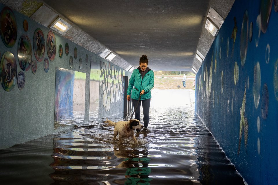 Flooding caused havoc for Brits and their dogs in Newtonabbot, Devon yesterday