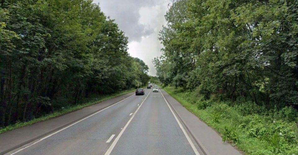 The crash happened on the A5 in Hinckley, Leicestershire (file photo)