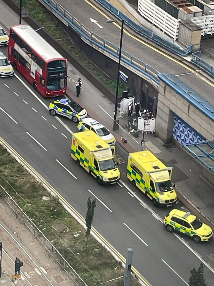 A girl of 15 was stabbed to death with a zombie knife after a row broke out on the No60 bus in Croydon