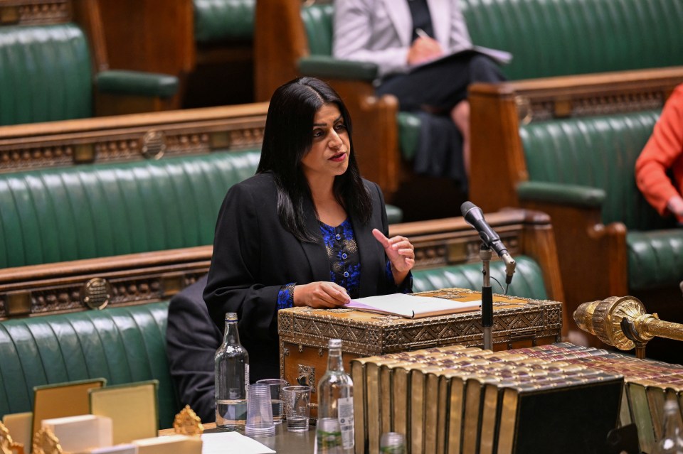 Labour’s Shadow Justice Secretary Shabana Mahmood challenged ministers