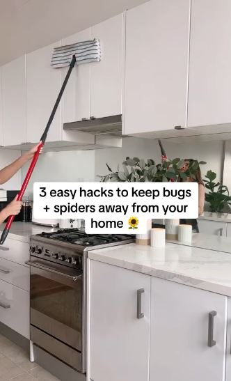 A cleaning pro has shared three hacks to stop bugs and other insects from entering your home