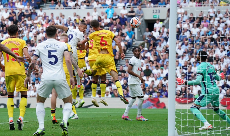 Richarlison headed a match-turning equaliser that broke Blades' hearts